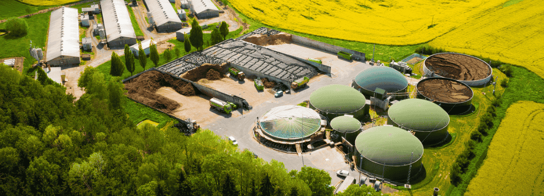 Biogas vs Natural Gas